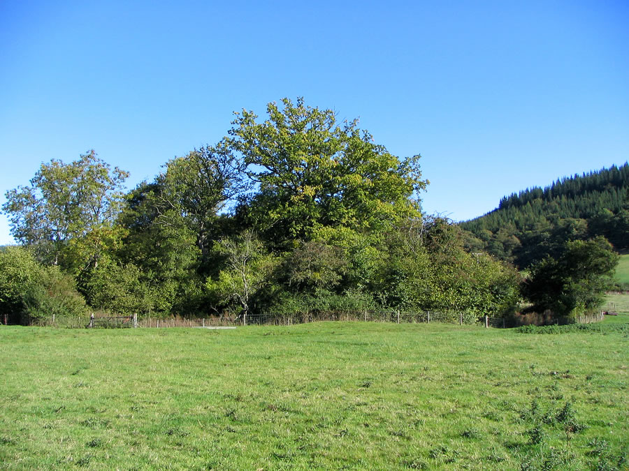 Aston Tump motte