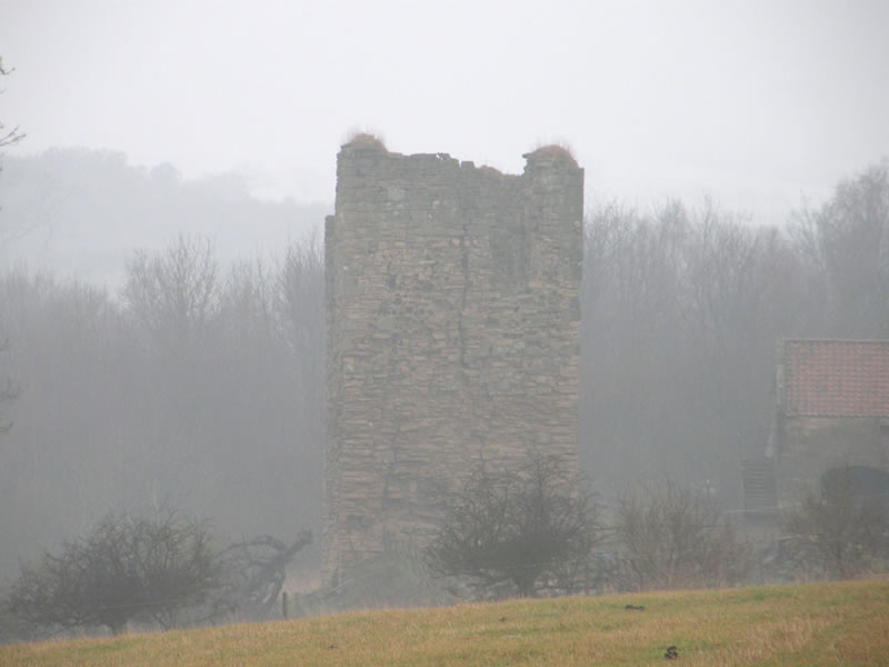 Pitcruvie Castle
