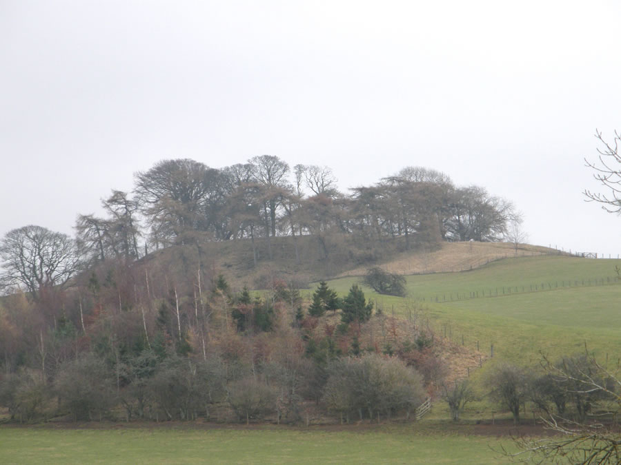 Howden Motte