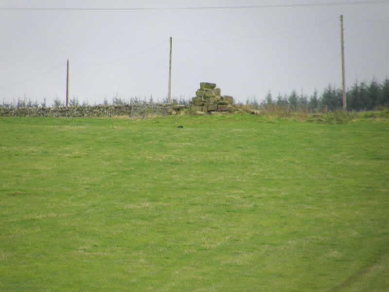 Dykeraw Tower