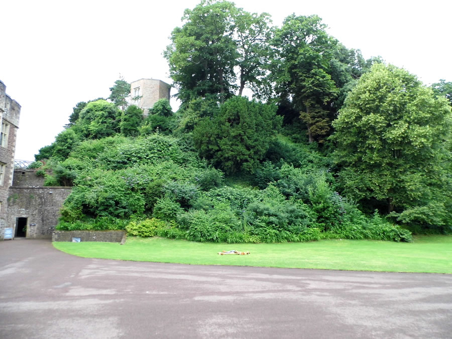 Dunster Castle Motte