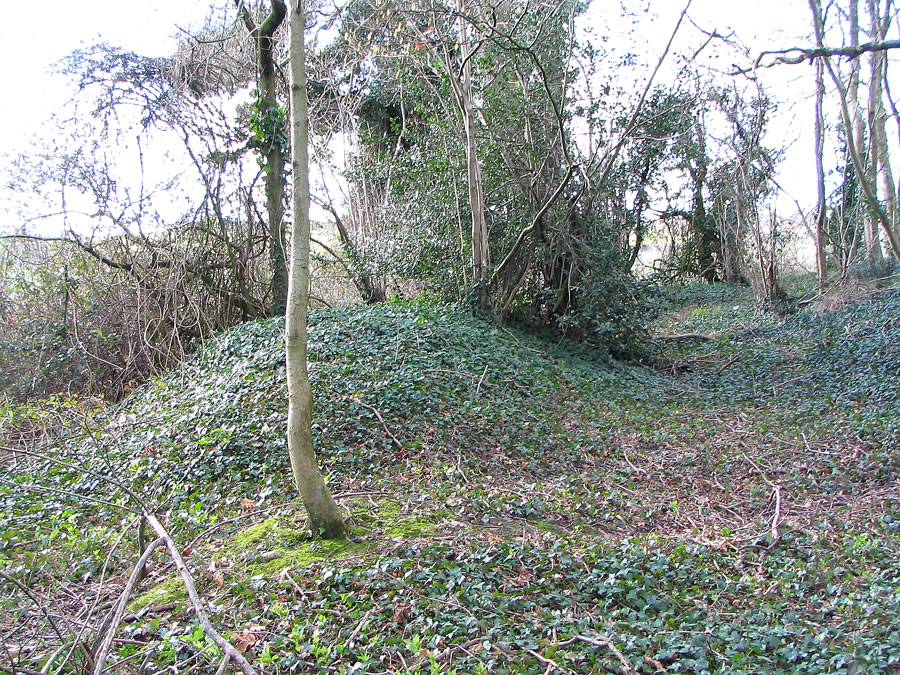Pinsley Motte
