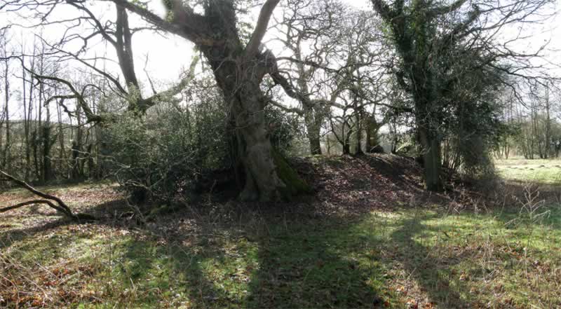 Troed-yr-harn Motte